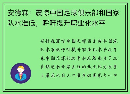 安德森：震惊中国足球俱乐部和国家队水准低，呼吁提升职业化水平