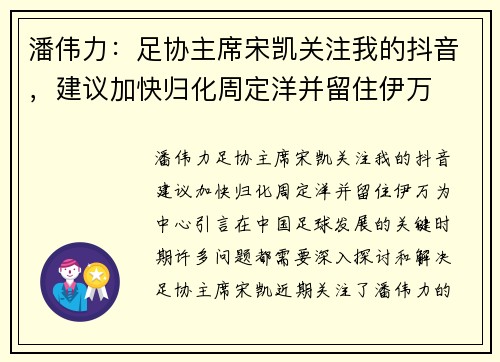 潘伟力：足协主席宋凯关注我的抖音，建议加快归化周定洋并留住伊万