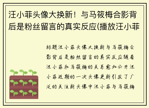 汪小菲头像大换新！与马筱梅合影背后是粉丝留言的真实反应(播放汪小菲视频)
