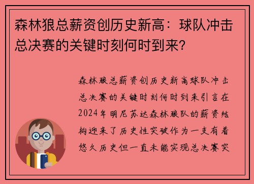 森林狼总薪资创历史新高：球队冲击总决赛的关键时刻何时到来？